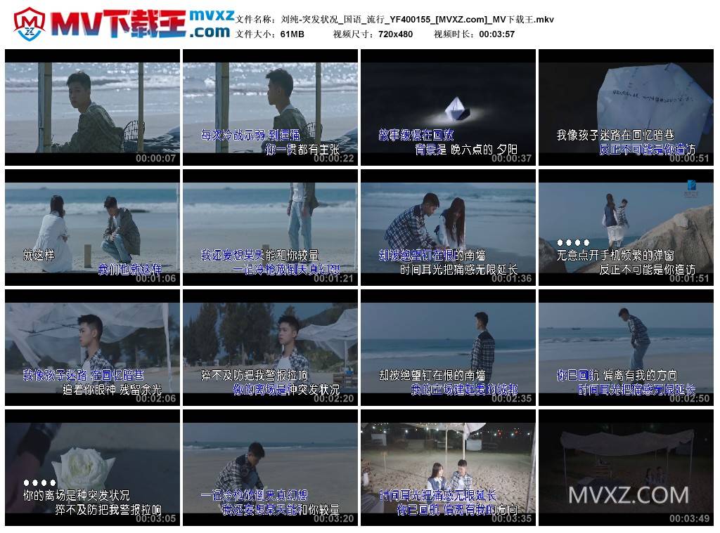 刘纯-突发状况_国语_流行_YF400155